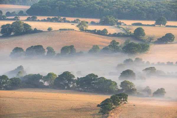 Stunning Landscape Image Layers Mist Rolling South Downs National Park — Photo