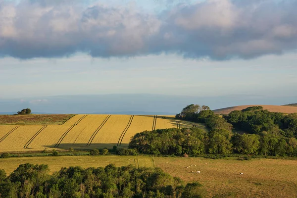 Beautiful Summer Sunrise English Countryside Landscape Image Lovely Golden Hour — 图库照片