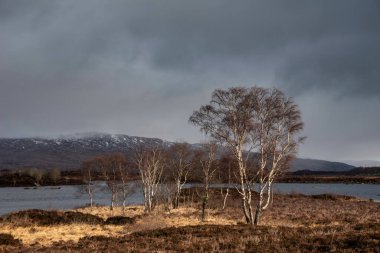 Beautiful Autumn Winter dramatic landscape looking over Loch Ba in Scottish Highlands