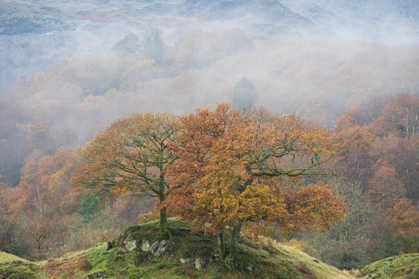 Imagem Paisagem Épica Outono Rio Brathay Lake District Olhando Para — Fotografia de Stock