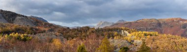 Muhteşem sonbahar günbatımı görüntüsü Langdale Pikes boyunca Holme Fell 'den Lake District' e bakıyor.