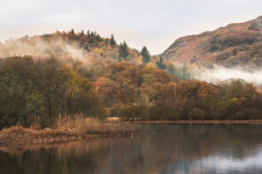 Brathay Nehri 'nin göldeki destansı sonbahar manzarası. Langdale Pikes' e doğru bakıyor. Nehir boyunca sisli ve canlı ormanlık alanlar.