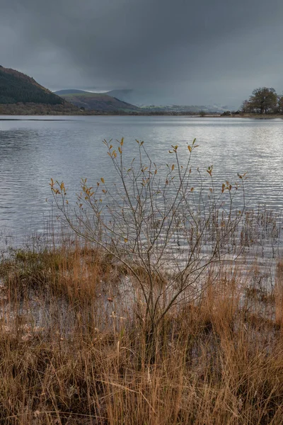 Episches Landschaftsbild Über Den Bassenthwaite Lake Lake District Sorgt Für — Stockfoto