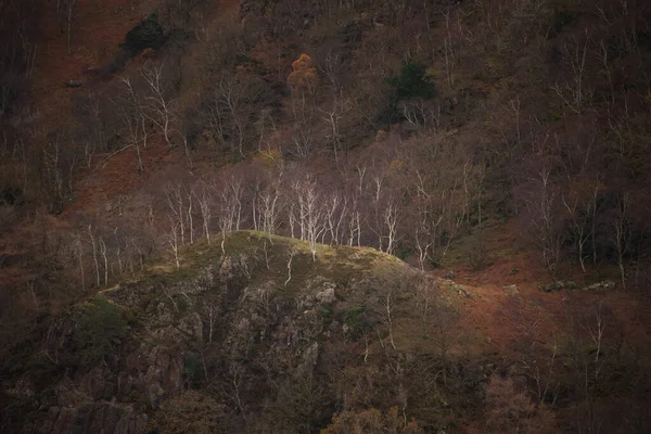 Wspaniały Jesienny Krajobraz Kierunku Borrowdale Valley Castle Crag Jeziorze Disrtrict — Zdjęcie stockowe