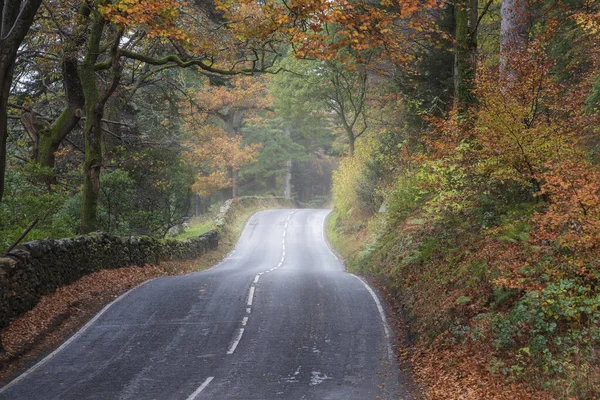 湖区富丽堂皇的秋都森林中蜿蜒曲折的道路美丽的风景形象 — 图库照片
