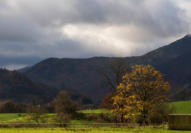 Göl Bölgesi 'nde sonbaharın güzel bir manzarası var. Uzaktan dağlara bakıyor, güneş ışığı tarlalarda parıldıyor.