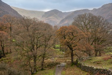 Stunning Autumn landscape image towards Valley from Castle Crag in Lake District