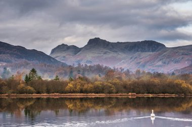 Brathay Nehri 'nin göldeki destansı sonbahar manzarası. Langdale Pikes' e doğru bakıyor. Nehir boyunca sisli ve canlı ormanlık alanlar.