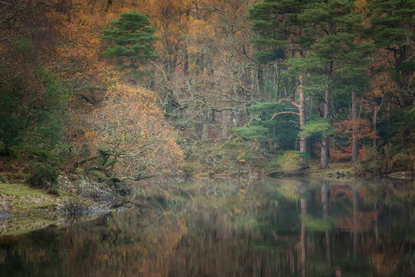 Manesty Park Göz Kamaştırıcı Gölü Orman Manzarası Canlı Sonbahar Sonbahar — Stok fotoğraf