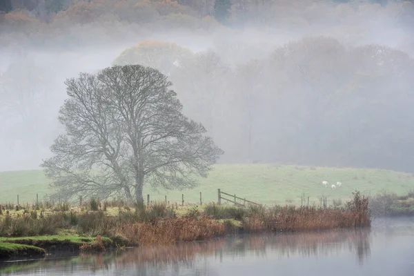 Epicki Jesienny Krajobraz Rzeki Brathay Lake District Patrząc Kierunku Langdale — Zdjęcie stockowe