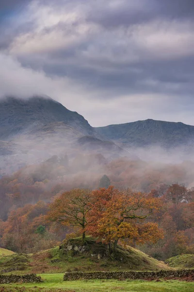 Imagen Épica Del Paisaje Otoñal Del Río Brathay Distrito Los — Foto de Stock