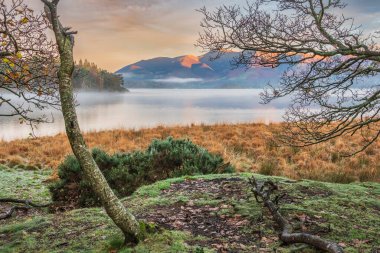 Distict Gölü 'ndeki Manesty Parkı' ndan Derwentwater yüzeyi boyunca ilerleyen güz güneşli Skiddaw Sıradağları 'na bakan destansı gündoğumu manzarası.