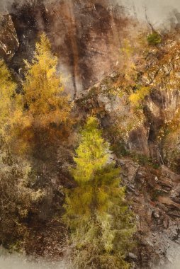 Digital watercolour painting of Beautiful Autumn landscape image of forest woodlands around Holme Fell in Lake District