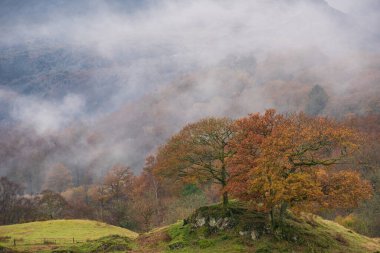 Brathay Nehri 'nin göldeki destansı sonbahar manzarası. Langdale Pikes' e doğru bakıyor. Nehir boyunca sisli ve canlı ormanlık alanlar.