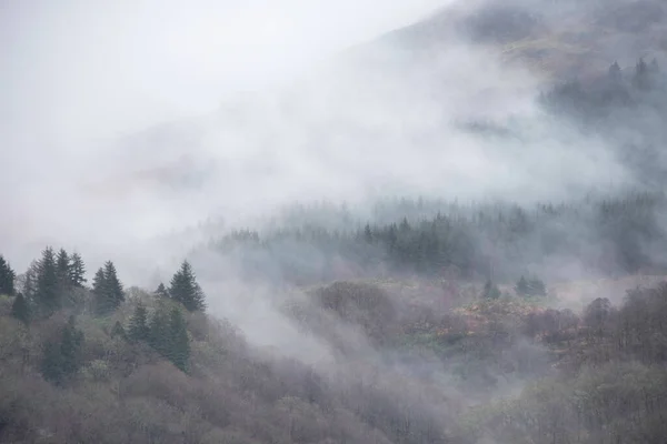 Hermoso Paisaje Nublado Invierno Deriva Través Los Árboles Las Laderas —  Fotos de Stock