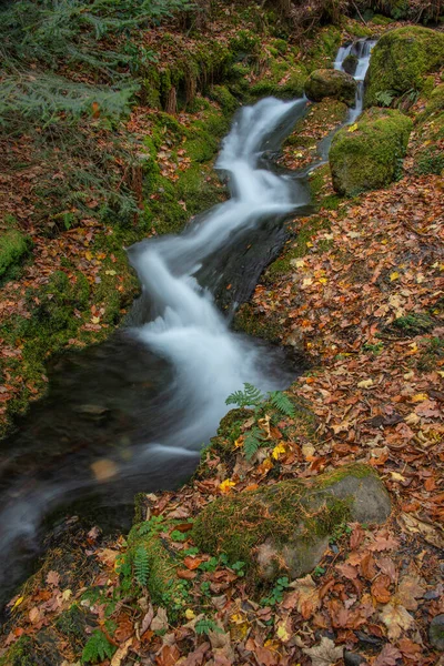 Gyönyörű Vízesés Táj Kép Élénk Őszi Erdő Lake District — Stock Fotó