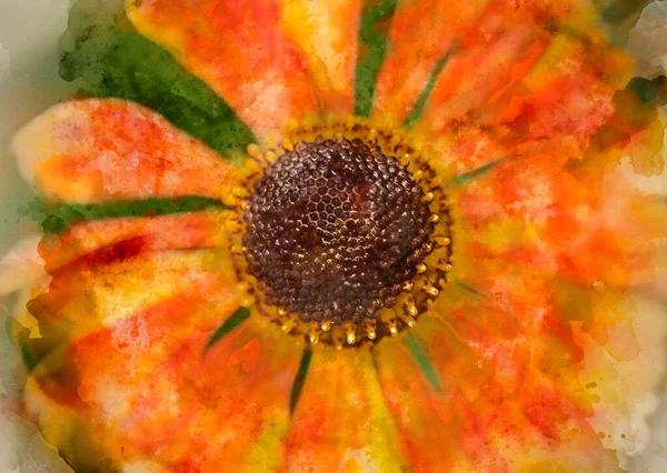 Digitale Aquarelafbeelding Van Prachtige Close Afbeelding Van Gewone Nieswier Helenium — Stockfoto