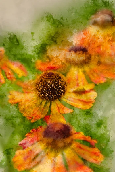 Digital Akvarell Bild Fantastisk Närbild Common Sneezeweed Helenium Autumnale Blomma — Stockfoto
