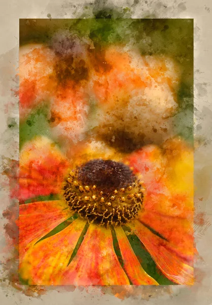 Digital Watercolour Image Stunning Close Image Common Sneezeweed Helenium Autumnale — Stock Photo, Image