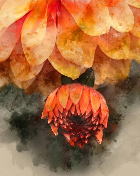 Digital Watercolour Image Beautifully Composed Close Image Dahlia Asterales Orange — Stock Photo, Image