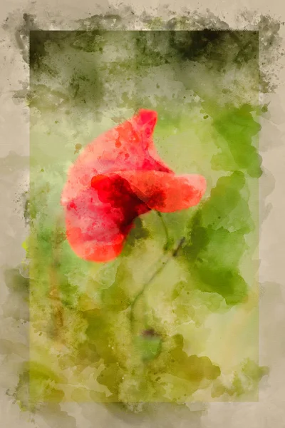 Imagen Digital Acuarela Beautiful Close Macro Image Poppy Flower Papaver — Foto de Stock