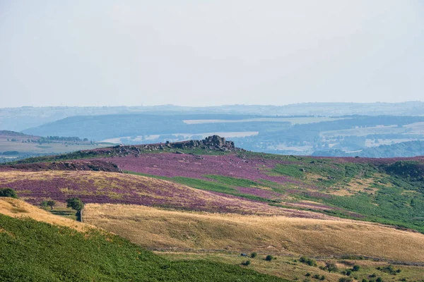 Beautiful Summer Day Landscape Image Higger Tor Vibrant Heather Viewed — стоковое фото