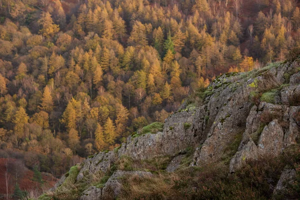 Holme Çevresindeki Ormanların Güzel Sonbahar Manzarası Lake District Düştü — Stok fotoğraf