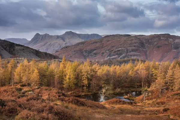 Imagen Épica Del Paisaje Impresionante Luz Del Atardecer Otoño Través —  Fotos de Stock