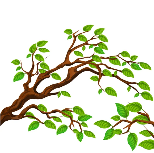 Ветка с зеленым деревом — стоковый вектор