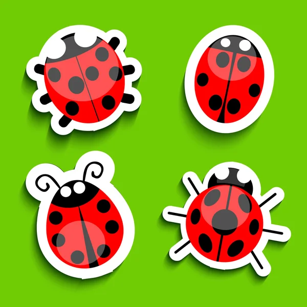 Ladybug — Stock Vector