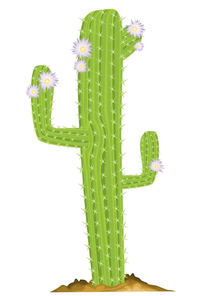 Groene cactus — Stockvector