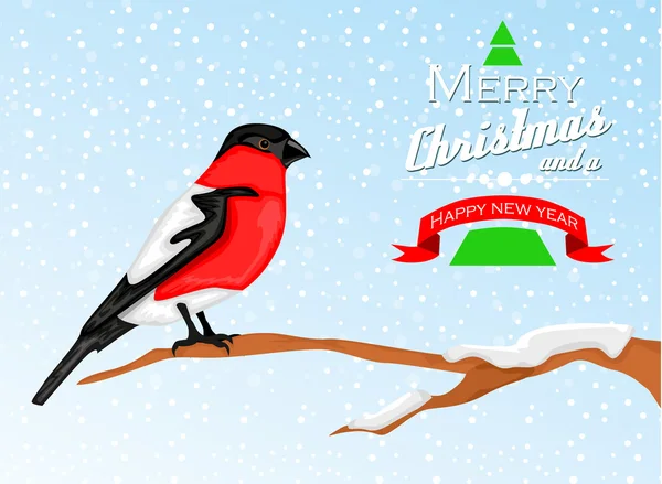 Sfondo di Natale con uccello Bullfinch — Vettoriale Stock
