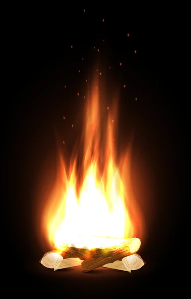 Campfire in dark — Stock Vector