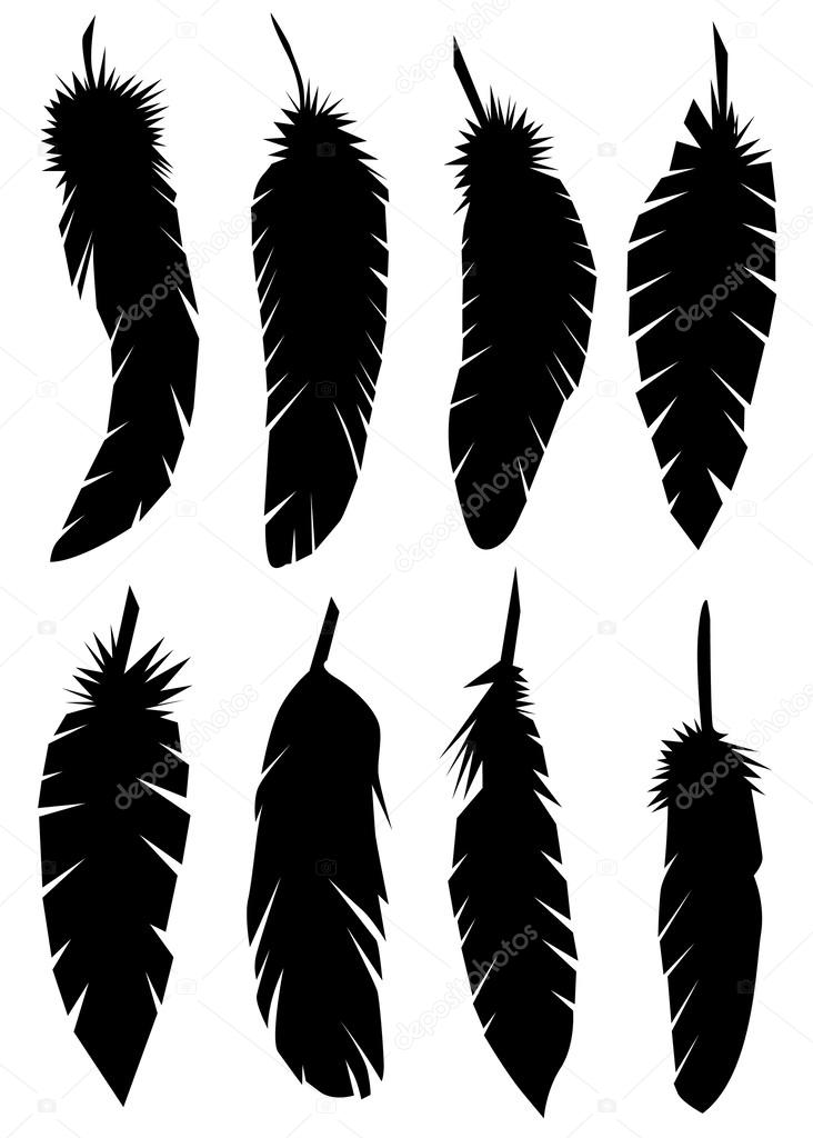 Feathers silhouettes