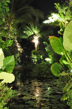 Yeşil tropic görünümü