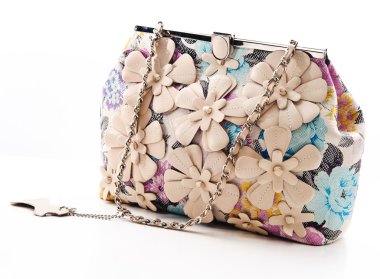 Beyaz arka plan üzerinde izole deri çanta