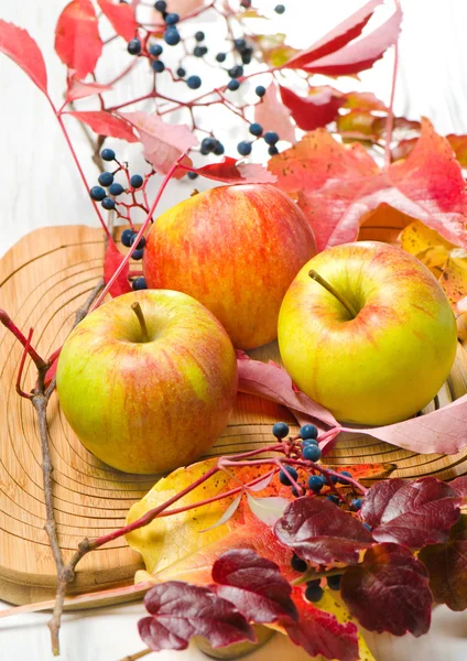 Manzanas rojas con hojas en la cesta —  Fotos de Stock