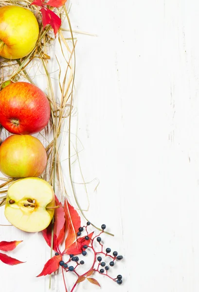 Rahmen aus Apfel — Stockfoto