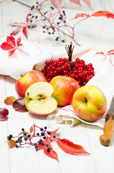 Rote Äpfel mit Preiselbeeren — Stockfoto