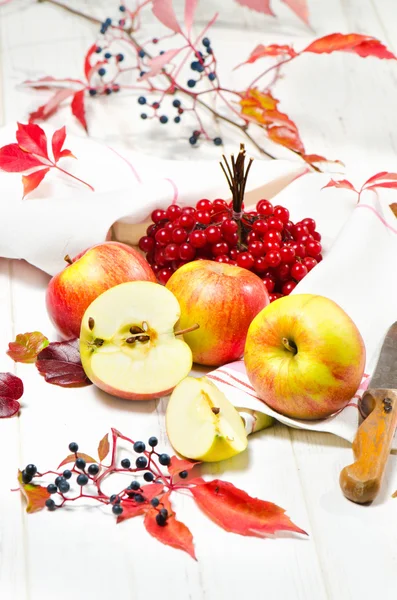 Rote Äpfel mit Preiselbeeren — Stockfoto