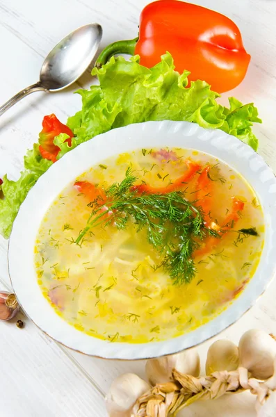 Sopa de pollo con verduras — Foto de Stock