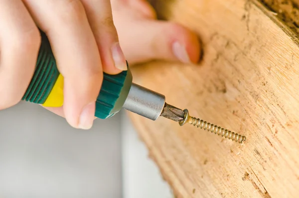 Screwdriver — Stock Photo, Image