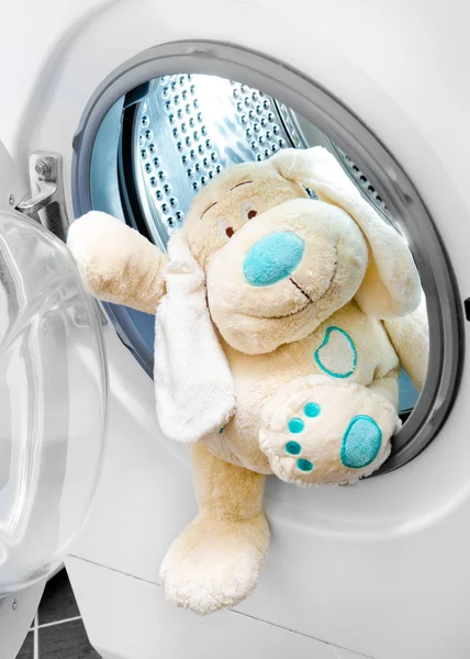 Machine à laver et chien dans les vêtements (lavage délicat — Photo