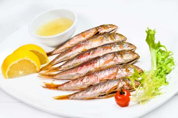 Pesce — Foto Stock