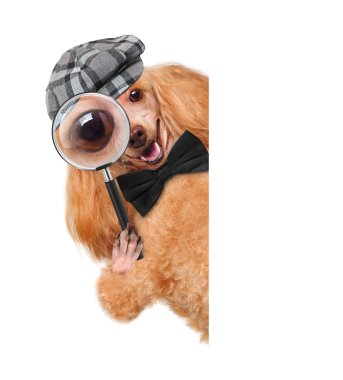 Büyüteç ve arama köpeği