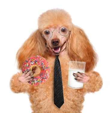 Köpek Yeme