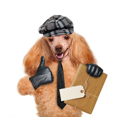 Dog with a letter clipart