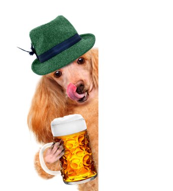 köpek ile bir afiş mutlu gülümseyerek bir bira bardağı