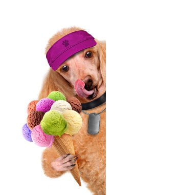 Dog with ice cream