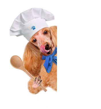 köpek aşçı